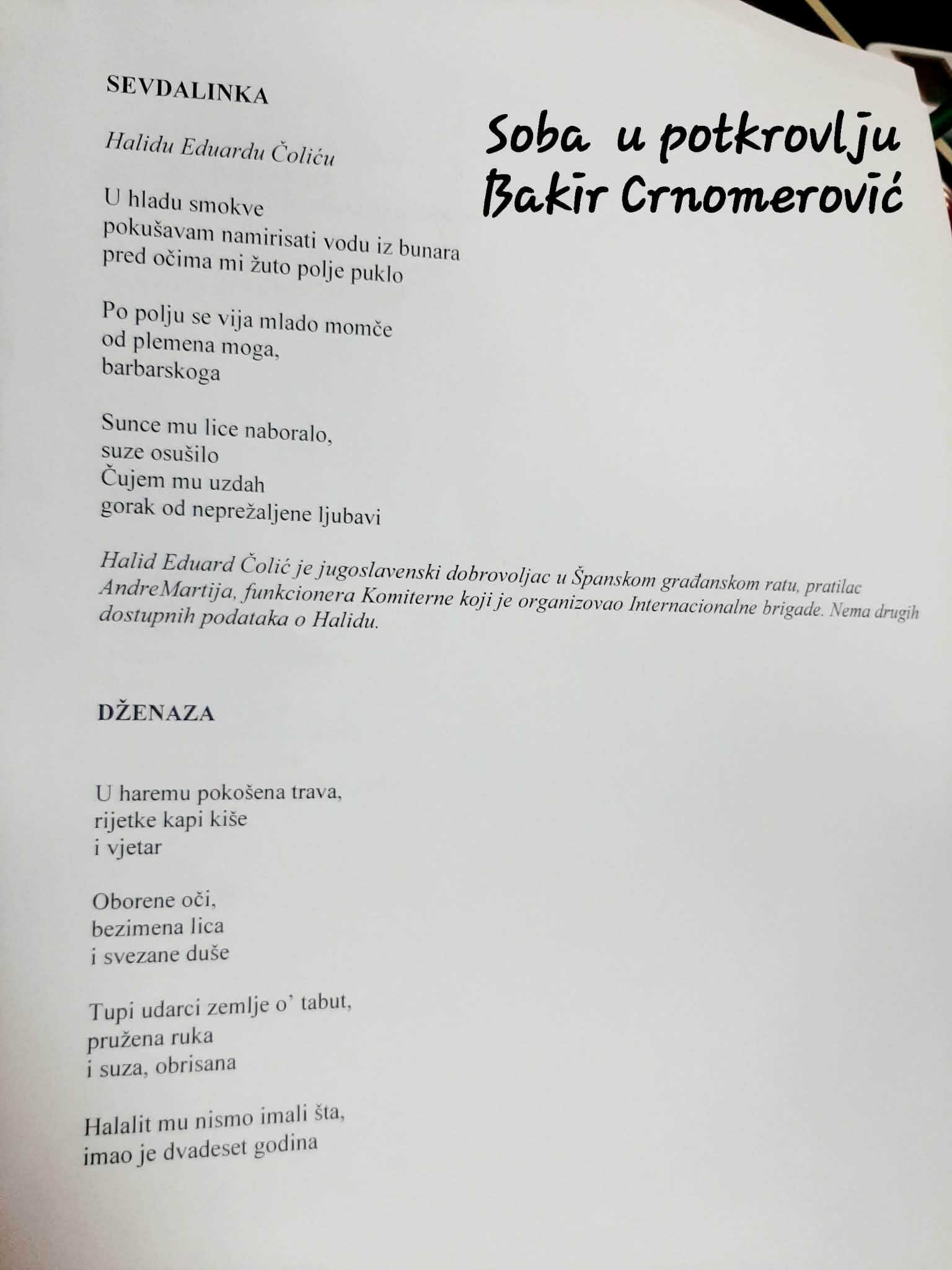 Soba u potkrovlju – Bakir Crnomerović
